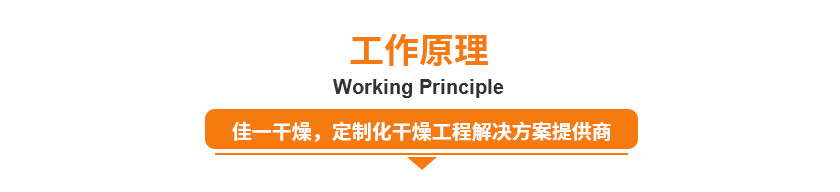 8381567565919722.jpg 詳情頁1_01.jpg